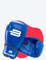 Бокс и единоборства